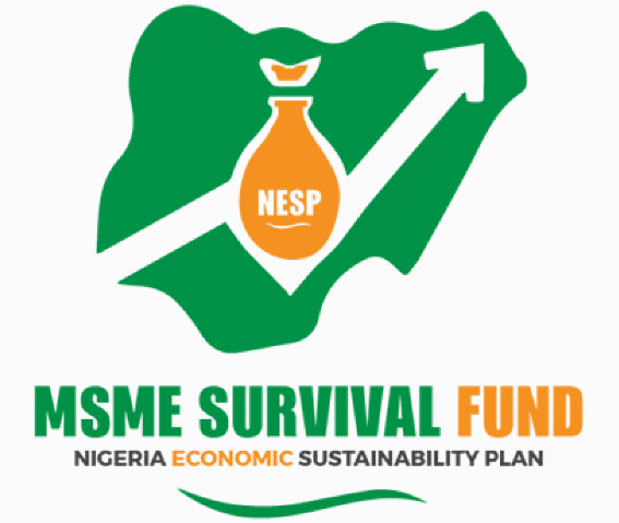 How To Easily Access Federal Government MSME Survival Fund