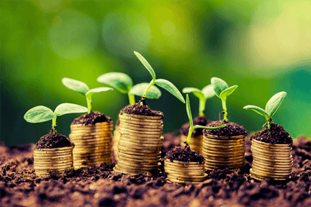 Top 8 Most Profitable Agriculture Business Ideas In Nigeria