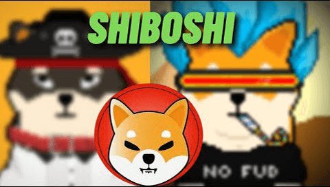 Shiba Inu Set To Launch Shiboshis NFTs