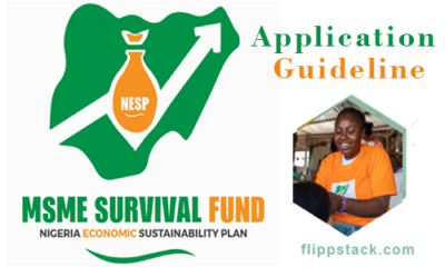 Guideline To Apply For Federal Government MSME Survival Fund 2022