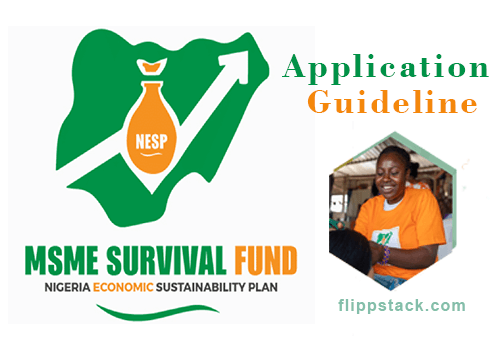 Guideline To Apply For Federal Government MSME Survival Fund 2022