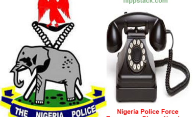 Full List Nigeria Police Force Emergency Phone Numbers For All States