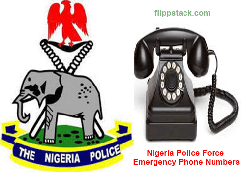 Full List Nigeria Police Force Emergency Phone Numbers For All States