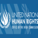 United Nations Human Rights Office Fellowship Programme