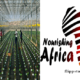 Youth in Agrifood Export Development Program