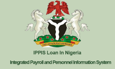 How To Apply For IPPIS Loan In Nigerian 2022