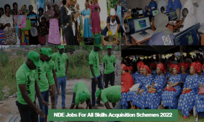 NDE Jobs For All Skills Acquisition Schemes 2022