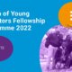 UNFPA And UN Volunteers Youth Innovation Fellowship Programme 2022