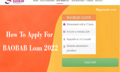 BAOBAB Loan 2022
