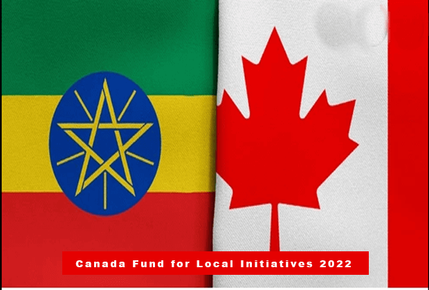 Canada Fund for Local Initiatives 2022
