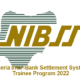 Nigeria Inter-Bank Settlement System Trainee Program 2022