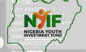 NYIF Begins Payment Of 250k To Successfully Shortlisted Candidates