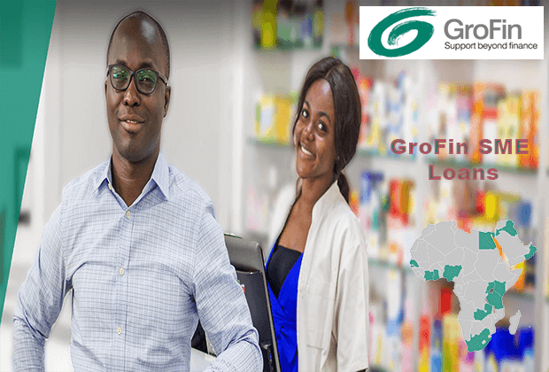 GroFin SME Loans
