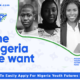 How To Easily Apply For Nigeria Youth Futures Funds