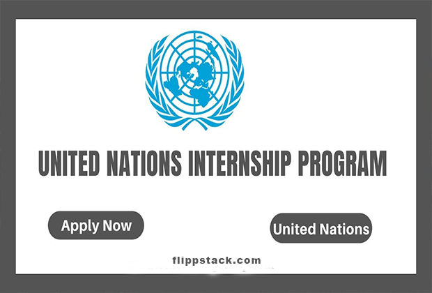 United Nations University Internship Programme 2022