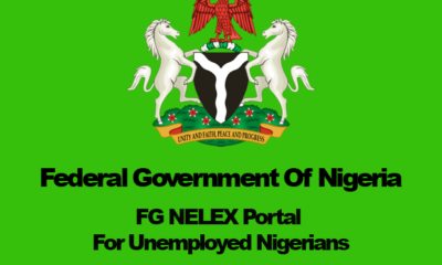 FG NELEX Portal For Unemployed Nigerians