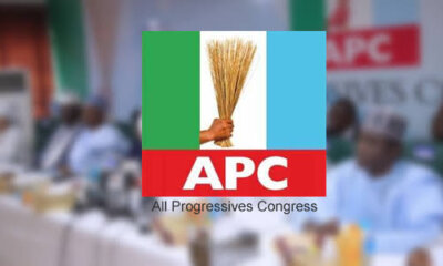 APC Presidential Primaries 2022