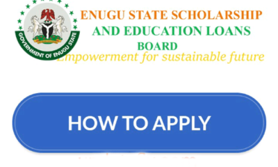 Enugu State Scholarship Board 2022 Mentorship Programme