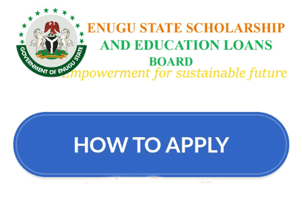 Enugu State Scholarship Board 2022 Mentorship Programme