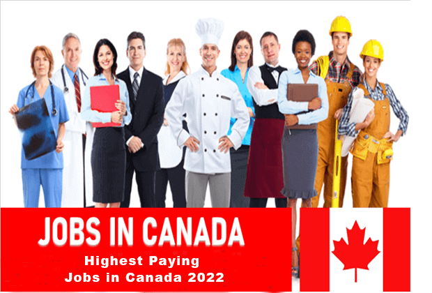 Top 8 Highest Paying Jobs in Canada 2022
