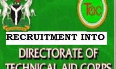 Ministry of Foreign Affairs Technical Aid Corps Recruitment 2022