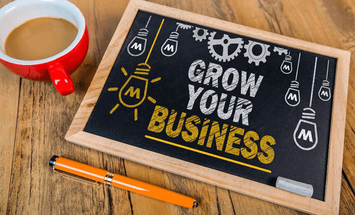 8 Strategies To Grow Your Business With A Loan
