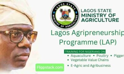 Lagos State Agripreneurship Programme (LAP) 2022