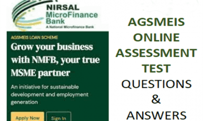 AGSMEIS Loan Online Assessment Test Questions