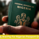How To Apply And Pay For Nigerian Passport Online (Full Guide)