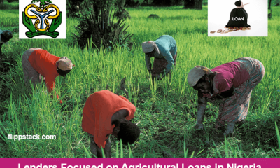 Lenders Focused on Agricultural Loans in Nigeria