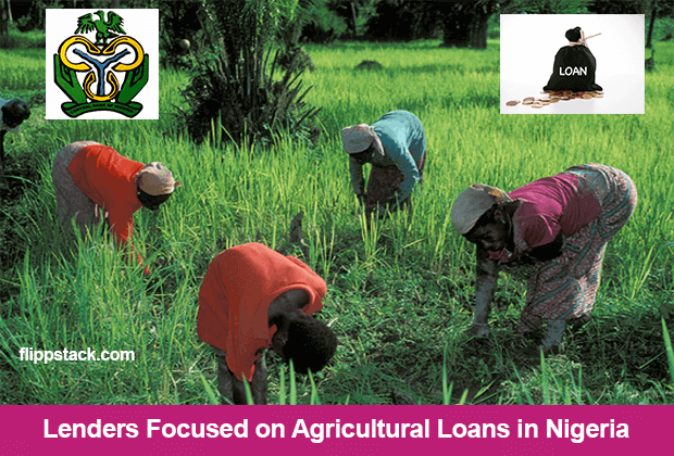 Lenders Focused on Agricultural Loans in Nigeria