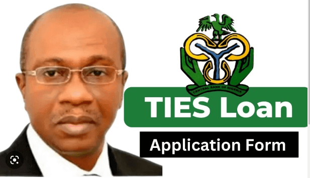 How To Apply For TIES Loan in 3 Simple Steps