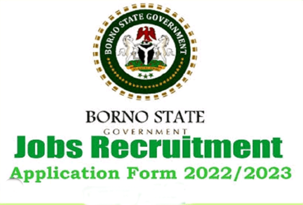 Borno State Ministry Of Education Job Opportunity 2022