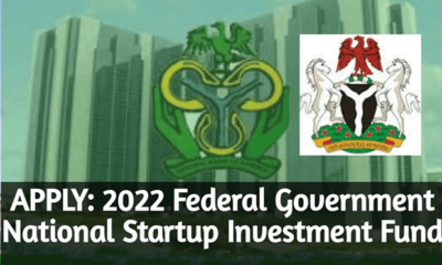 Federal Government National Startup Investment Fund