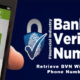 How to Easily Retrieve Your BVN Without a Phone Number