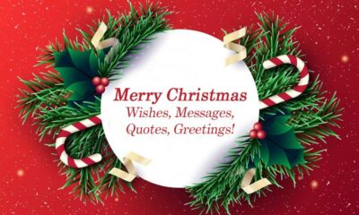 100+ Merry Christmas Wishes 2022
