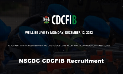 CDCFIB Releases Final Names Of NIS/NSCDC Applicants