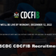 CDCFIB Releases Final Names Of NIS/NSCDC Applicants