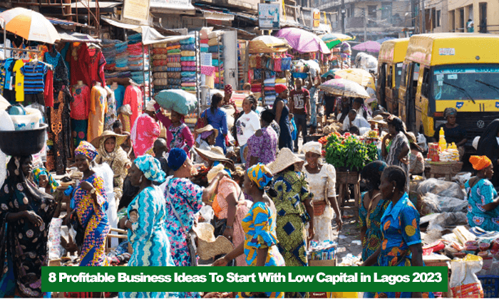 8 Profitable Business Ideas To Start With Low Capital in Lagos 2023