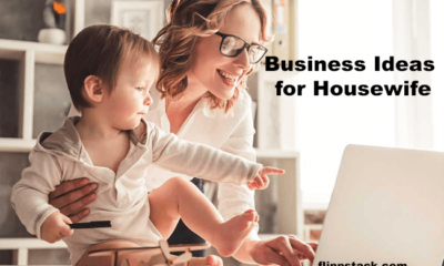 Top 12 Business Ideas for Housewife and Nursing Mothers 2023