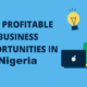 12 Most Profitable Businesses in Nigeria 2023