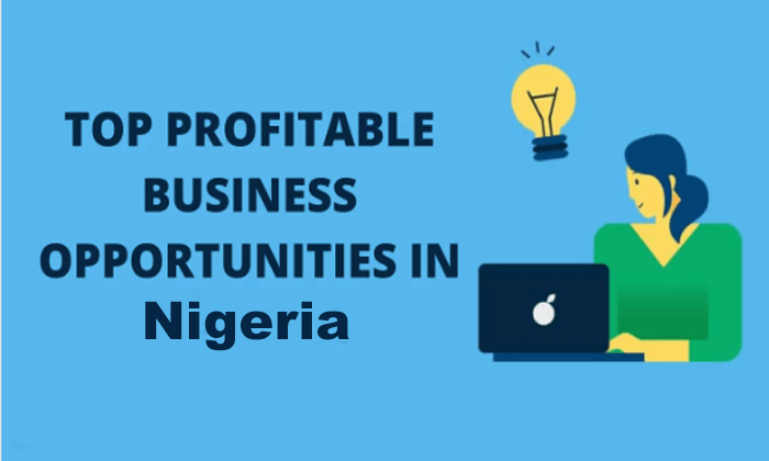 12 Most Profitable Businesses in Nigeria 2023