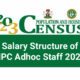 NPC Adhoc Staff New Salary Structure and Allowances 2023