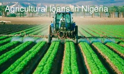 How To Apply For Agricultural Loans in Nigeria