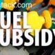 Fuel subsidy, how to cope with inflation