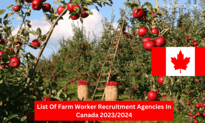 List Of Farm Worker Recruitment Agencies In Canada 2023/2024