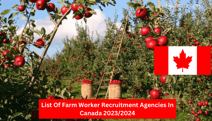List Of Farm Worker Recruitment Agencies In Canada 2023/2024